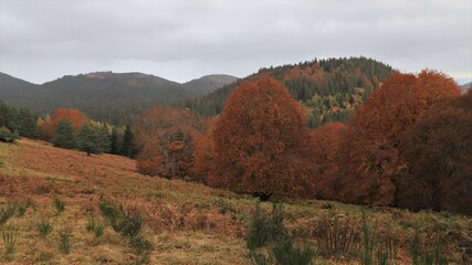 chaîne des puys depuis le puy de Pourcharet