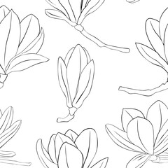 Seamless pattern Magnolia flowers black and white colors graphics vector illustration