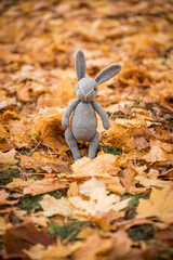 Handmade knitted toy. autumn leaves. friend and friendship