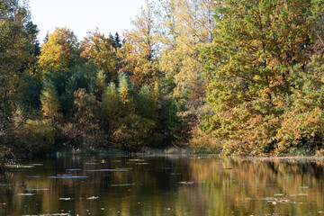 Wald im Herbst; Dorf