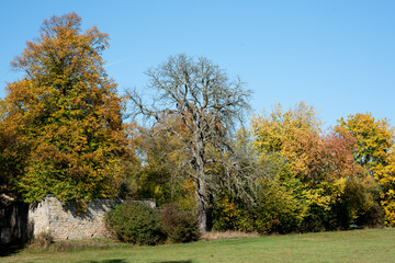 Wald im Herbst; Dorf