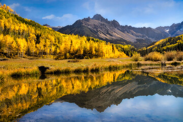 Mt Sneffels reflecting in the Beaver Pond in the San Juan Mountains