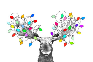 Funny Christmas moose with Christmas lights tangled in antlers, holiday party animal drawing for invitations or card, hand drawn sketch of moose
