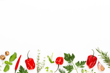 Spice herbal leaves and chili pepper on white background. Vegetables pattern. Floral and vegetables on white background. Top view, flat lay.