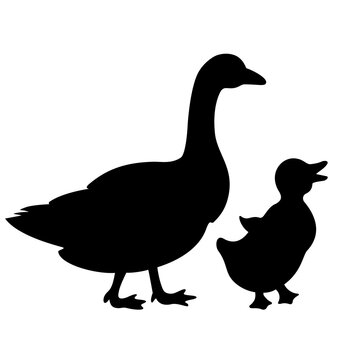 Duck and baby duckling vector icon