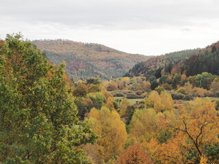 Fototapeta premium Baumwipfelpfad bei Fischbach im Dahner-Felsenland im Herbst