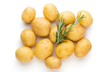 New potato and rosemarin isolated on white background close up.