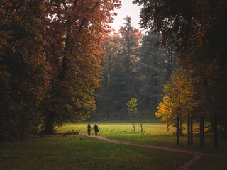 Autumn colors in the leaves of trees in the park