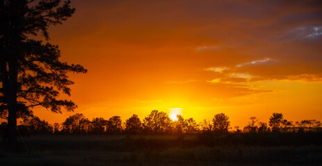 Sunset in the Fields