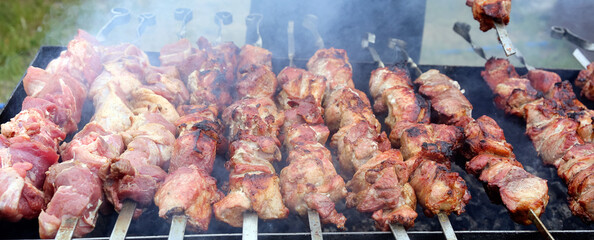 Grilled beef cabobs close-up on an open fire.