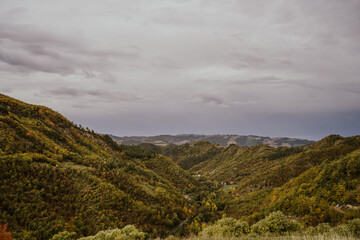 autumnal landscape in an Italian chestnut grove