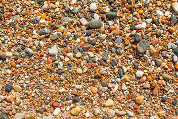 wet pebbles on the Baltic sea coast