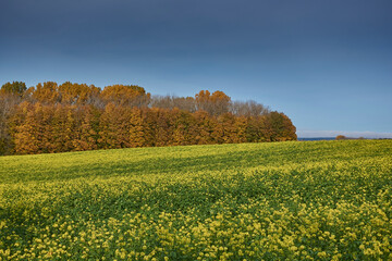 Herbst in Bayern