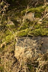Naturlandschaft
