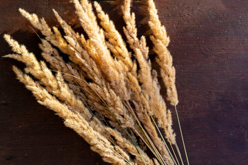 Bouquet of dried flowers from ears