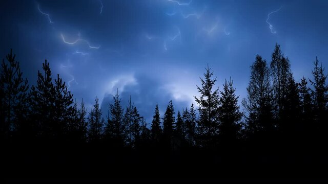 A time lapse of Lightning strikes over a forest silhouette.