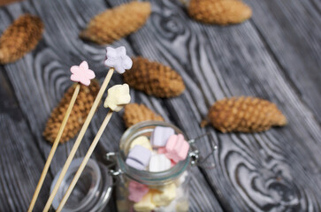 Marshmallows of different colors. They lie in a glass jar. One is strung on a wooden skewer. Nearby are spruce cones.