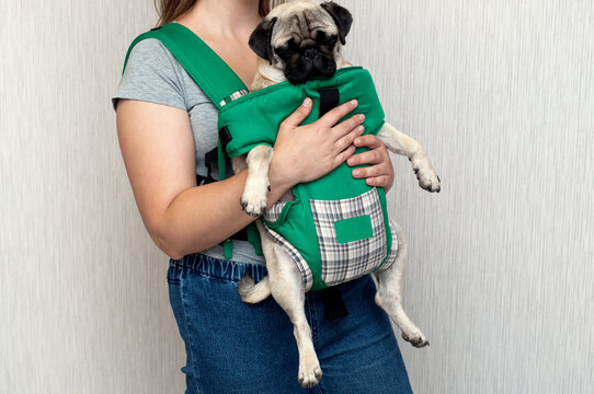 Ergo Bilder – Durchsuchen 2,175 Archivfotos, Vektorgrafiken und Videos ...