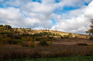 Autumn landscape. Yellow trees, blue sky with white clouds.