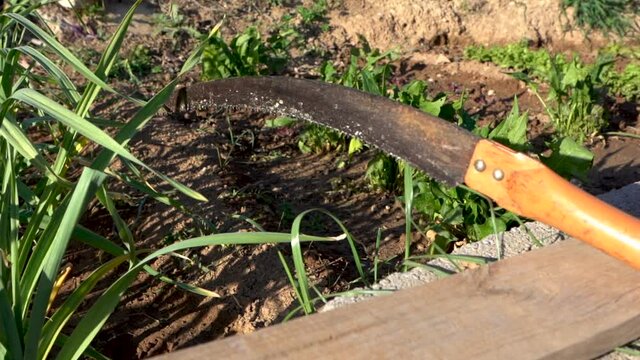 Working tools un the field supported near the plants