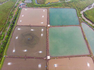 Aerial view of the shrimp farm in Revdanda, Maharashtra, India