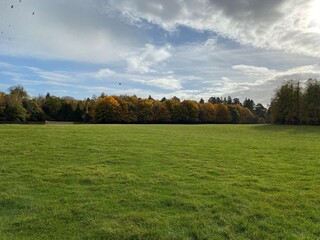 Tatton Park Parkland in the autumn
