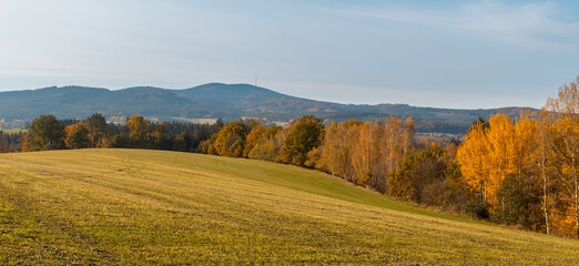 Autumn colorful tree foliage on meadow, and hill Klet. Czech landscape