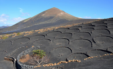 Paisajes volcanicos de la isla de lanzarote en las islas canarias, España, aorillas del oceano...
