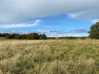 Fototapeta premium Tatton Park Parkland in the autumn