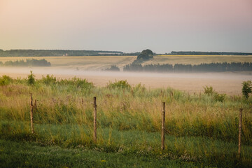 Morning fog in the meadows during sunrise in the countryside. Rural landscape with a fog on the geen field. the fence stretching into the distance.