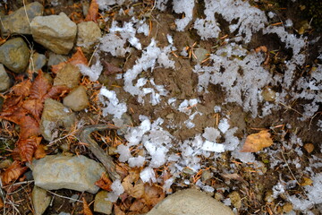 粉雪