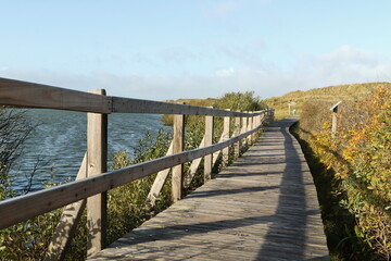 Fototapeta premium Wriakhörn, Isle of Amrum, North Frisian islands, Schleswig-Holstein, Germany