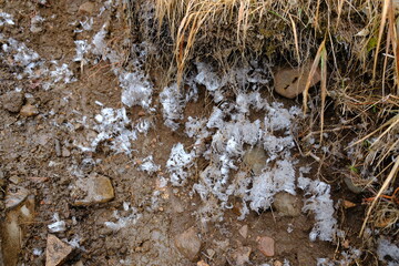 登山コースにあった粉雪