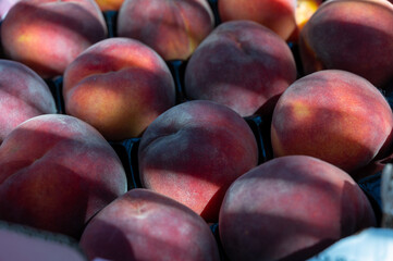 New harvest of big sweet ripe nectarines peaches
