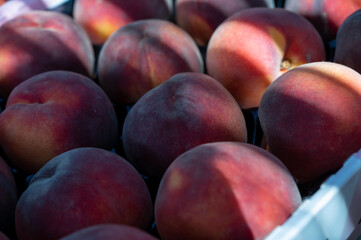 New harvest of big sweet ripe nectarines peaches