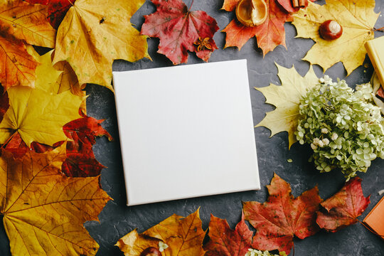 Blank canvas on autumn background. Mockup poster, autumn concept.