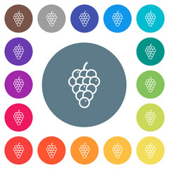 Grapes flat white icons on round color backgrounds