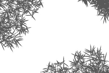 Obraz premium bamboo leaves isolated on white background