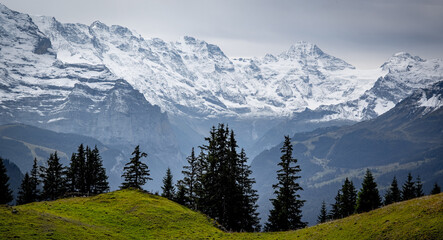 Obraz premium Wonderful panoramic view over the Swiss Alps - view from Schynige Platte Mountain - travel photography