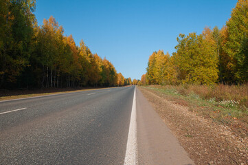 straight road, highway along trees with yellow foliage on a Sunny day
