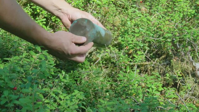 Man Discovers Remains of Large Caliber Brass Ammunition in Forest Moss.