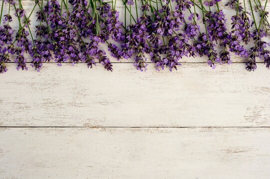  Branches of lavender on white old wooden boarder