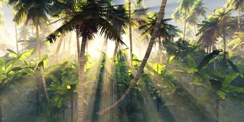 Naklejka premium Tropical forest in the morning sun, jungle in the fog, palm trees in the haze, 3D rendering