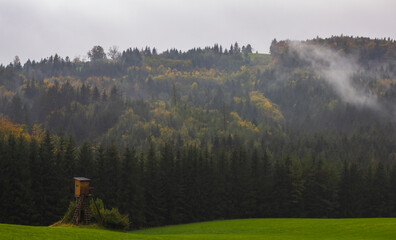 Bild mit Wald und Wiese und Jagdstand