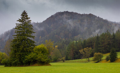 Fototapeta na wymiar Landschaftsbild mit Wald und Nebel