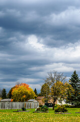 Fall colors in a local park under a stormy sky