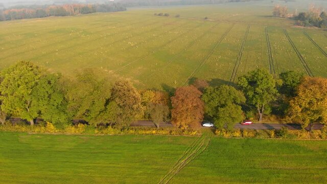 Beautiffull Autumn drone fly over the road with car driving by