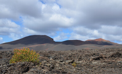 Paisajes volcanicos de la isla de lanzarote en las islas canarias, España, aorillas del oceano...