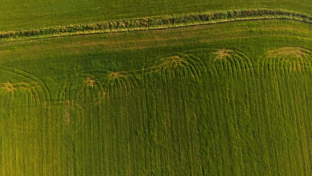 Green field road marks dly over 