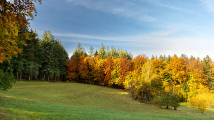 Herbstliche Landschaften im Wald und auf der Wiese, Pilze im Wald, Autumn landscapes in the forest and on the meadow, mushrooms in the forest